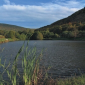 MESTO JELŠAVA: Možnosť rybolovu na miestnych rybníkoch
