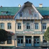 MESTO SKALICA: Dom kultúry