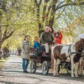 MESTO SKALICA: Prehliadka mestom na konskom povoze so sprievodcom