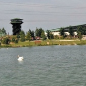 MESTO GALANTA: Ranč na Striebornom jazere