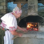 OBEC HRUŠOV: 