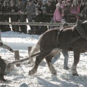 OBEC NOVOŤ: Furmani