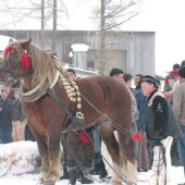 OBEC NOVOŤ: Furmánske dni