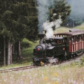 OBEC ORAVSKÁ LESNÁ: Lesná úvraťová železnica