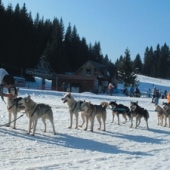 OBEC ORAVSKÁ LESNÁ: Lyžiarské stredisko ORAVA SNOW