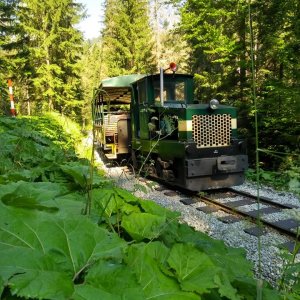 HISTORICKÁ LESNÁ ÚVRAŤOVÁ ŽELEZNICA: Dieselhydraulická lokomotíva DH 120 