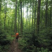 MESTO SNINA: Stužica Autor foto: Ondrej Kameniar