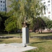 MESTO DUNAJSKÁ STREDA: -