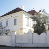 MESTO DUNAJSKÁ STREDA: Žltý kaštieľ