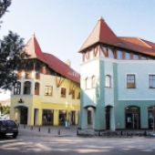 MESTO DUNAJSKÁ STREDA: Dom podnikateľov