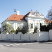 MESTO DUNAJSKÁ STREDA: Múzeum