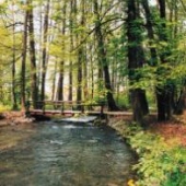 MESTO TURČIANSKE TEPLICE: Park